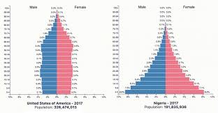 animation population pyramids of the 10 most populous countries