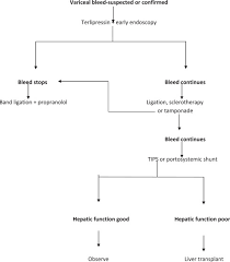 Acute Upper Gastrointestinal Bleeding A Review Sciencedirect