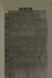 Image result for Pavetta macrosepala