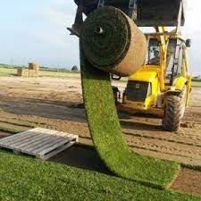 cim ya da cimen denilince ilk akla gelen topragin uzerine serili yesil canli kucuk bitkilerdir cogu zaman insanlar baharin gel cim cevre muhendisligi bi tki