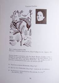 Image result for Aeschynomene chimanimaniensis