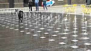 Something so simple for dogs can make them so happy. Cute Dog Having Fun In A Water Fountain Youtube