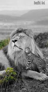 Pin On Black White With A Little Color