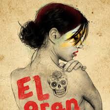 Design e book cover for airplane rides