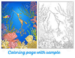 24 couleurs stylo aquarelle feutre coloriage brush pen marqueur pour feutres coloriage adulte et. Adulte Livre De Coloriage Coloriage Avec Sous Marine Des Recifs De Corail Monde Avec Un Echantillon De Couleur Coraux Poissons Et Algues Outline Illustration Vectorielle Clip Art Libres De Droits Vecteurs Et