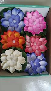 We did not find results for: Pool Floating Flower Candles Pool Water Feature For Weddings Parties New 6pcs Buy Online At Best Prices In Bangladesh Daraz Com Bd