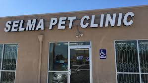 We believe in nurturing bonds with your four legged family members and hence. Animal Clinic Opens In Selma Selma Enterprise Hanfordsentinel Com