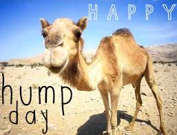 Find the perfect camels hump stock photo. Facebook