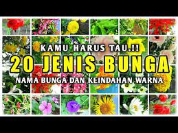 Maybe you would like to learn more about one of these? 20 Jenis Bunga Yang Harus Kamu Tau Nama Bunga Dan Keindahan Warna Nya Youtube