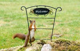 When autocomplete results are available use up and down arrows to review and enter to select. I Found Peace In Photographing Squirrels After I Survived The Rwandan Genocide War Bored Panda