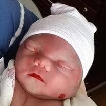 Terry Archie Green Jr. Obituary