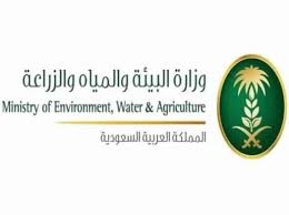 تحذير من بيع المنتجات العضوية دون تصريح Agriculture Environment Blog Posts