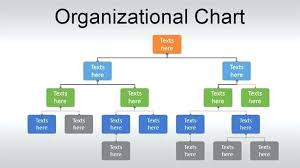 organisational charts template jimbutt info