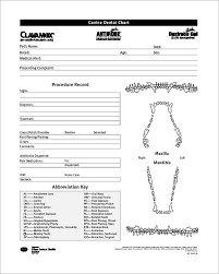 9 Patient Chart Templates Free Sample Example Format