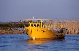 Les services douaniers sont parvenus dernièrement à déjouer d'autres tentatives d'exportation illégale d'espèces protégées (civelles, concombres de mer. Civelle