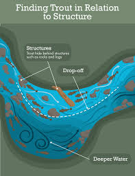 Where S That Trout Learn How To Locate Trout In A Stream Bass Fishing Tips Trout Fishing Tips Fishing Techniques