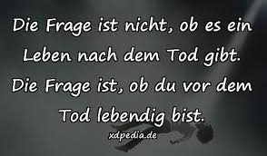 Tod Meme Bilder Spruch Zitate Beste Spruche Zitate Xdpedia De 4