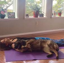 Doga Savasana Make Yourself Comfy On Your Mat And Invite Your Dogi Over Have Your Dog Lay Next To You Or On Top Of You Just Make Sure Doga Your Dog