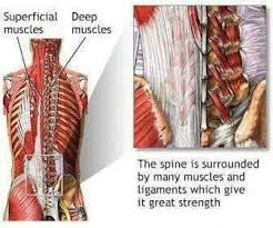 Check spelling or type a new query. Facebook