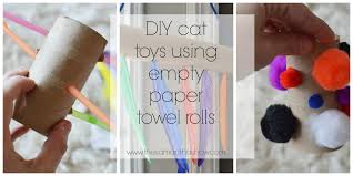 Recycle those empty toilet paper rolls into a toilet paper roll rocket craft that is out of this world. Diy Cat Toys Using Empty Paper Towel Rolls The Samantha Show A Cleveland Life Style Blog