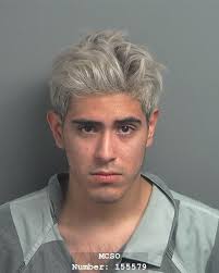 GAMEZ, MICHAEL STEVE