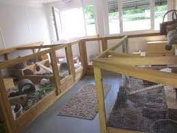 gehege tierheim wannigsmuhle munnerstadt kaninchengehege gehege tierheim