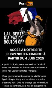 بالاترین: پورن‌هاب با پرچم آزادی به جنگ قوانین فرانسه رفت