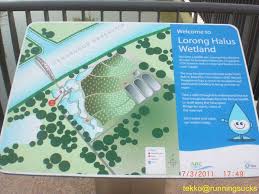 Reserva lorong halus wetland, singapur en tripadvisor: Lorong Halus Wetland Runeatgossip