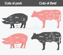 Pork Meat Cuts Scheme Stock Vector Illustration Of Plan