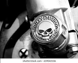Check spelling or type a new query. Search Harley Davidson Skull Logo Vectors Free Download