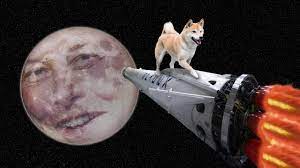 While bitcoin has a limited number of coins, there is no limit to the number of dogecoins which can be created. Bnlncncmyeurhm