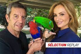 Le couple michel cymes et adriana karembeu fonctionne très bien à la télévision dans l'émission les pouvoirs extraordinaires du corps humain. Replay Michel Cymes Et Adriana Karembeu Revelent Les Pouvoirs Extraordinaires Des Animaux