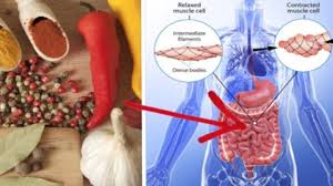 What Happens To Your Body If You Eat Spicy Food Everyday Zinta Spicy Recipes Baby Diet Healthy Recipes