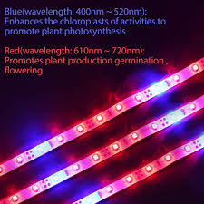 Check spelling or type a new query. Led Grow Lights Waterproof Flexible Soft Grow Light Strip With Power Supply For Indoor Plants