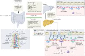 Image result for Beige 1983 Caloric