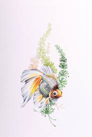 Goldfish Watercolor Watercolor Fish Goldfish Watercolor Goldfish Art