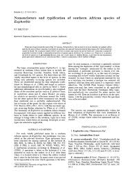 Image result for Euphorbia spissiflora