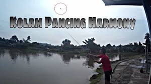 How To Fish At Kolam Pancing Harmony Puchong Pond Fishing Vlog 1 Youtube