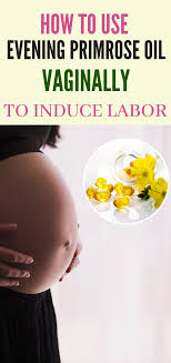 Evening Primrose Oil To Induce Labor When To Start Primrose Oil Labor Evening Primrose Oil Dosage Evening Primrose Oil