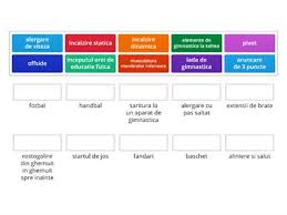 Intrebari de cultura generala pentru toate varstele. Cultura Generala Clasa 4 Resurse Didactice
