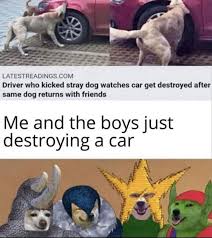 Funny Memes Pictures Funny Memes Funny Relatable Memes Hilarious