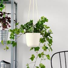 The potted plants were placed in the beautiful bittergurka plant pots whereas. Ikea Plant Pots Hanging