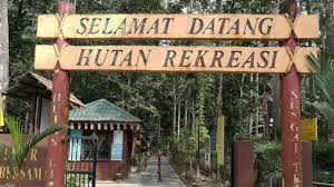 If you are into trekking, this is a good place to do so. Sungai Tekala Recreational Forest Semenyih Sungai Tekala Waterfall Youtube