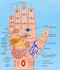 zone therapy reflexology information links and charts for