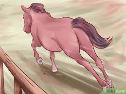 48.4 read the situations and write sentences with it took. How To Help A Horse Recover From Founder 12 Steps With Pictures