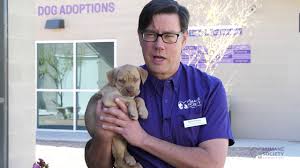 Why should i adopt from flps? Humane Society Of Southern Arizona