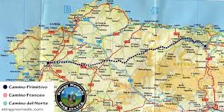 Y también este libro fue escrito por un escritor de libros que se considera popular hoy. The Camino Primitivo A Detailed Guide Walking Stages Stingy Nomads