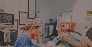 We understand the special role your cat plays in your family and are dedicated to becoming your partner in your pet's health care from kittenhood to its senior years. Emergency Vet Care Fear Free Vet Clinic North South Arlington Clarendon Animal Care