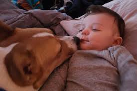 Fundraiser by Gloria Clark : Support Nahko's Road to Recovery