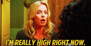 Check spelling or type a new query. 10 Gifs That Perfectly Describe The Moment You Realize You Re High Herb